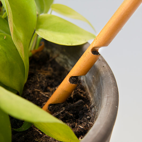 Wooden soil checker