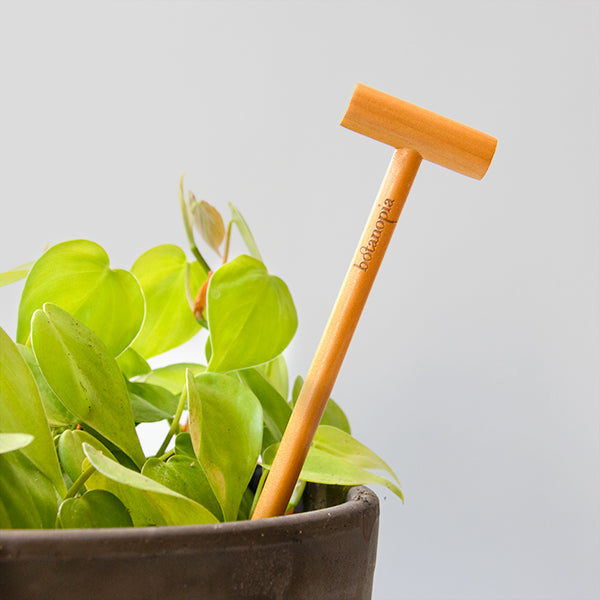 Wooden soil checker