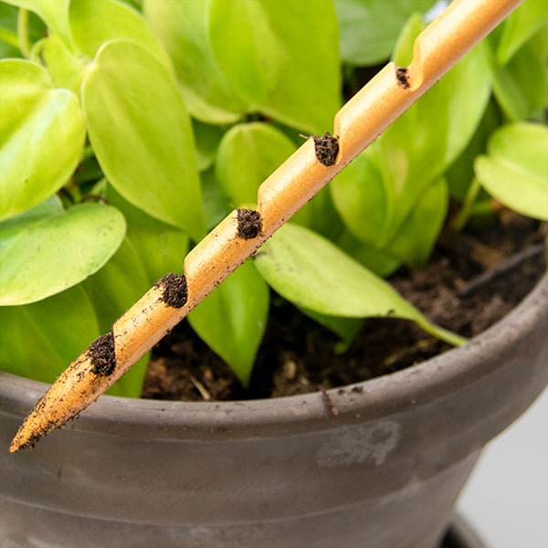 Wooden soil checker