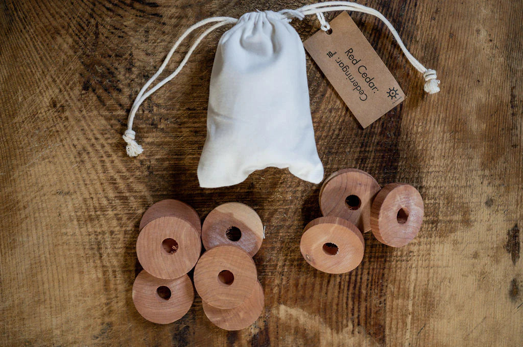 Sedrus ilmhringir / Red cedar wood rings