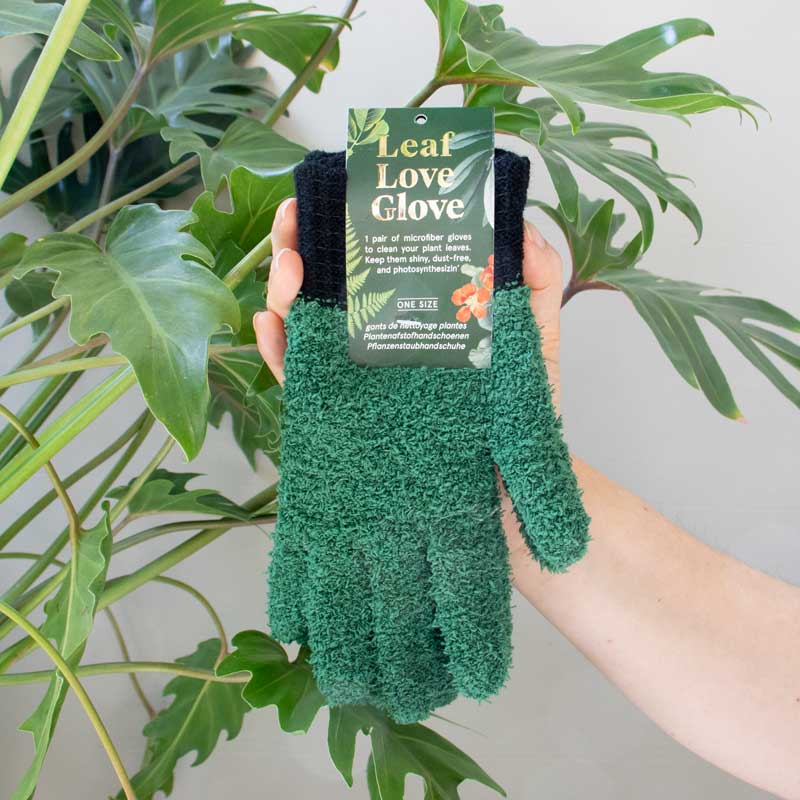 Hreinsihanski fyrir plöntur / Leaf Love Glove
