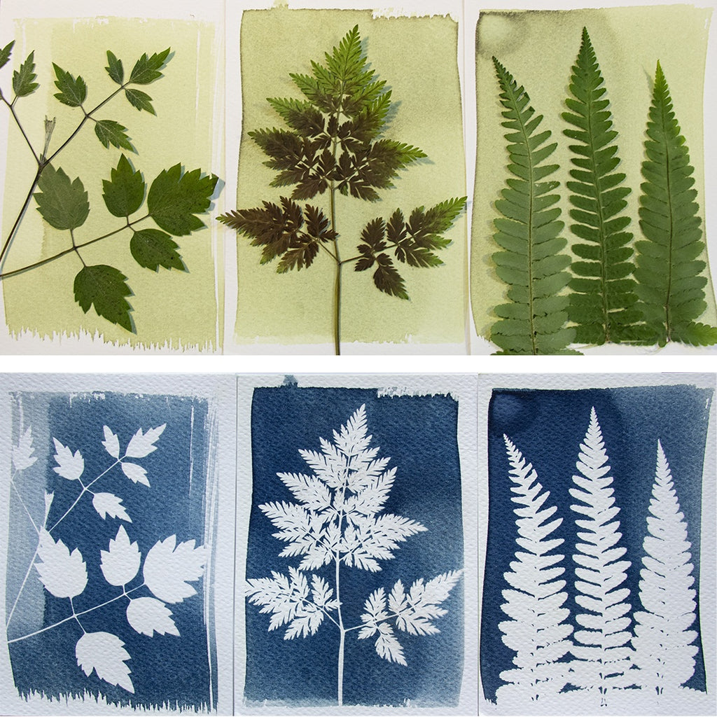 DIY Sólmyndasett / DIY Cyanotype Kit