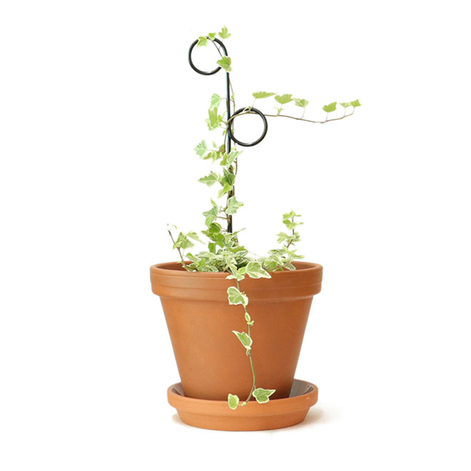 Litlar svartar plöntustangir / Mini black plant stakes