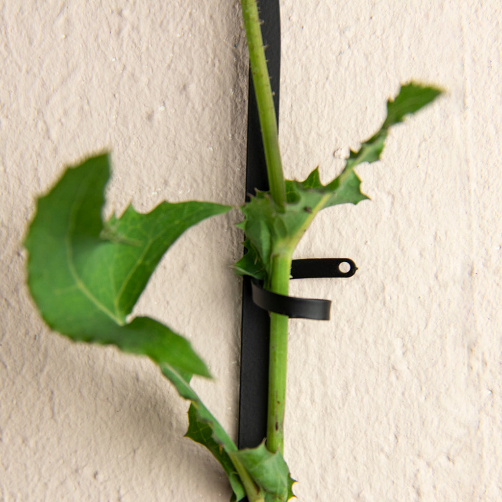 Svört keðja fyrir klifurplöntur / Black support for climbing plants
