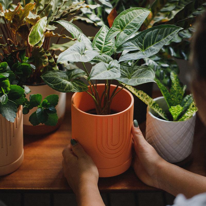 Etch Desert Blómapottur / Etch Desert Planter