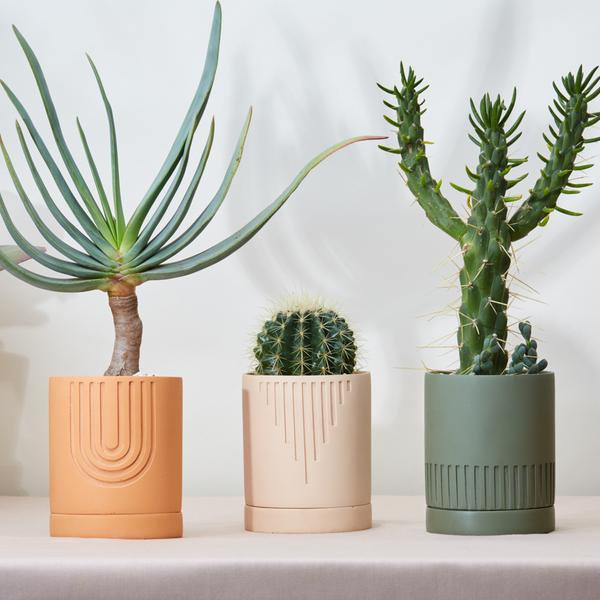Etch Desert Blómapottur / Etch Desert Planter