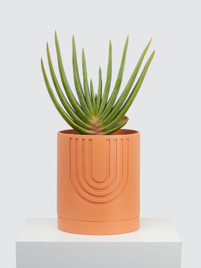 Etch Desert Blómapottur / Etch Desert Planter