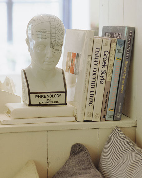 Phrenology Head