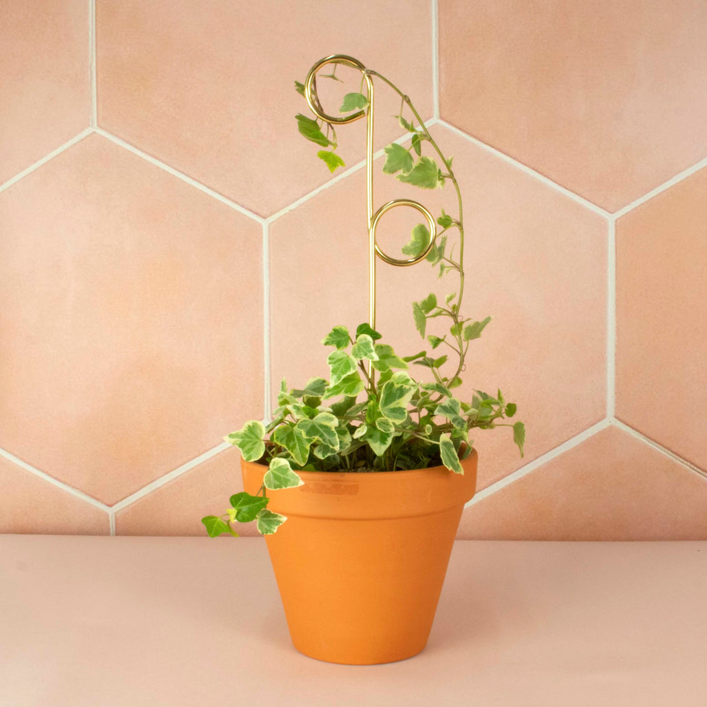 Litlar Gylltar plöntustangir / Mini golden plant stakes