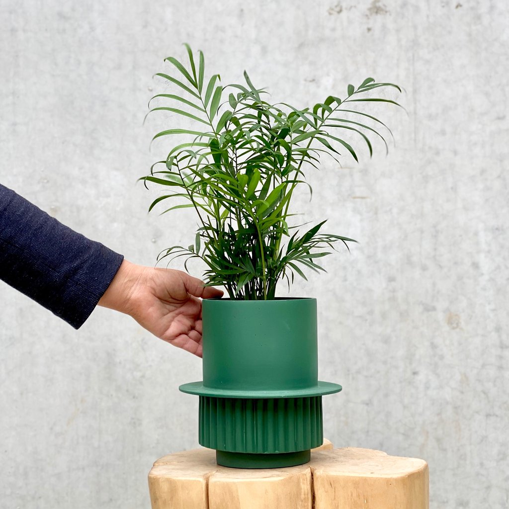 Roma Blómapottur / Roma Planter