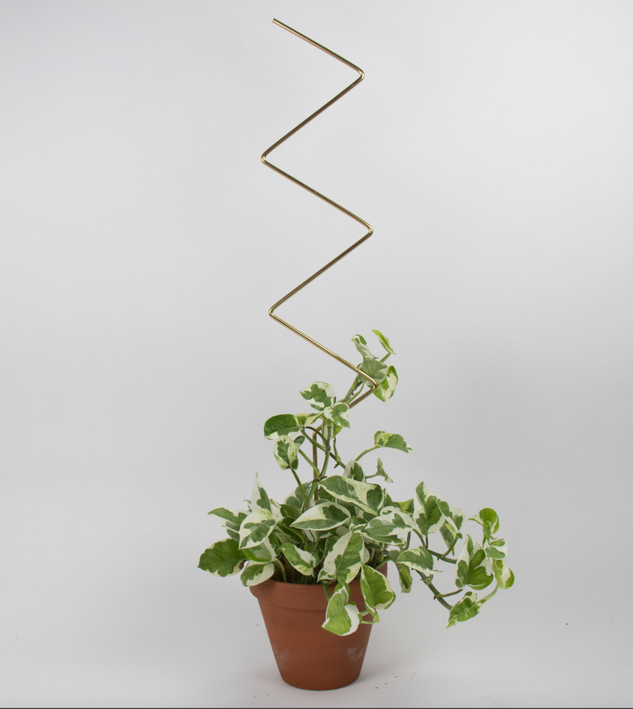 Gylltar plöntustangir / Golden plant stakes