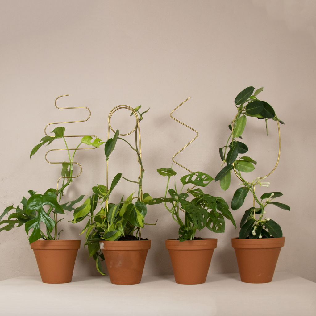 Gylltar plöntustangir / Golden plant stakes