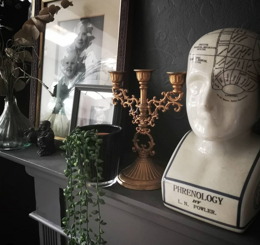 Phrenology Head