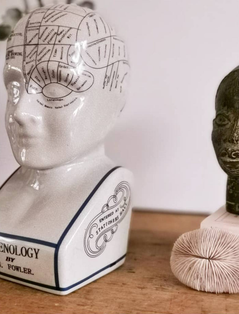 Phrenology Head
