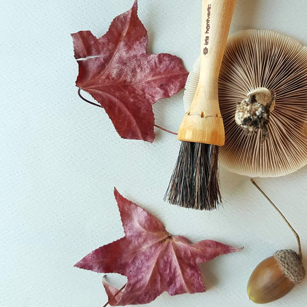 Sveppahnífur m. bursta / Mushroomknife w. brush