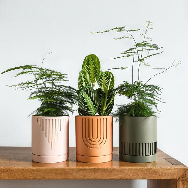 Etch Desert Blómapottur / Etch Desert Planter