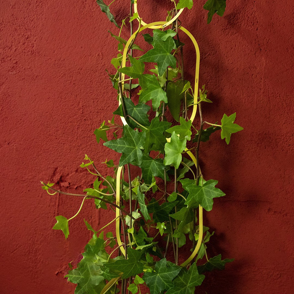 Keðja úr messing fyrir klifurplöntur / Brass support for climbing plants