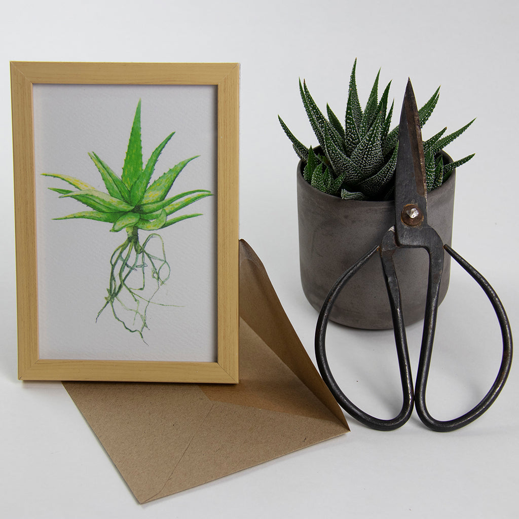Tækifæriskort (4 gerðir) / Greeting Cards (4 designs)