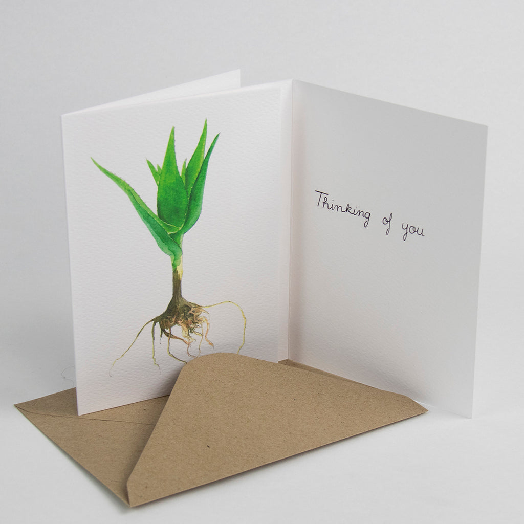 Tækifæriskort (4 gerðir) / Greeting Cards (4 designs)