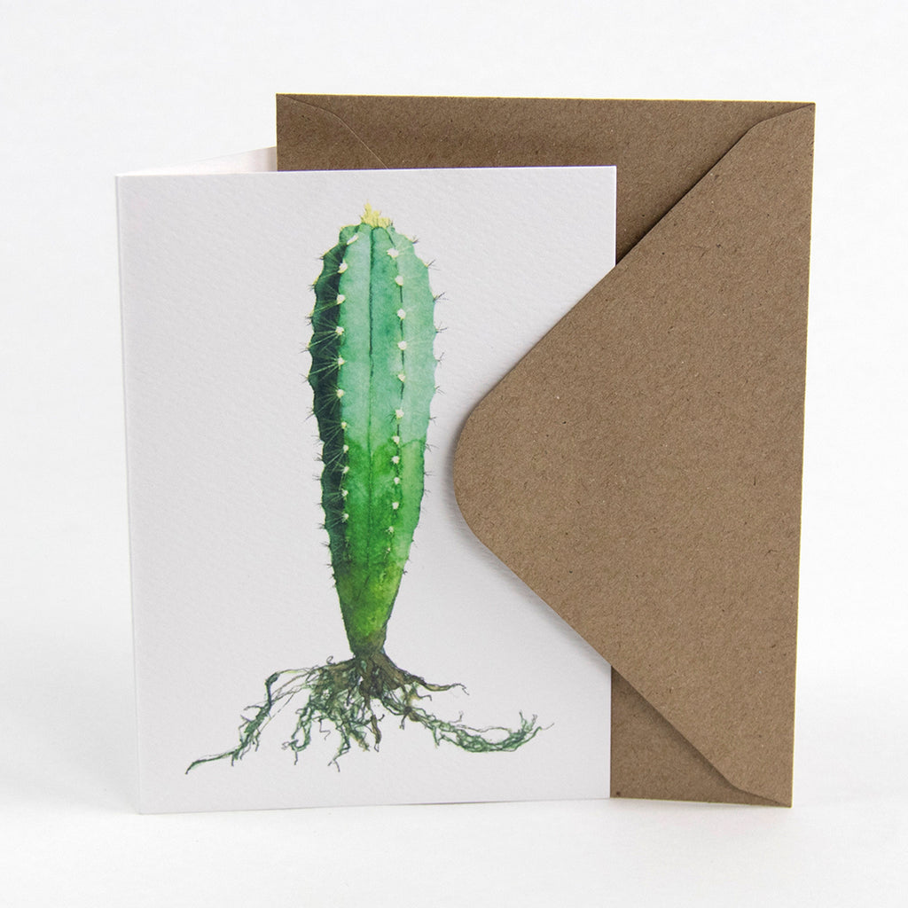 Tækifæriskort (4 gerðir) / Greeting Cards (4 designs)