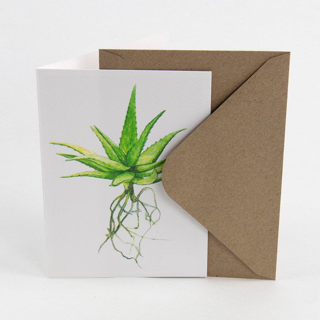 Tækifæriskort (4 gerðir) / Greeting Cards (4 designs)