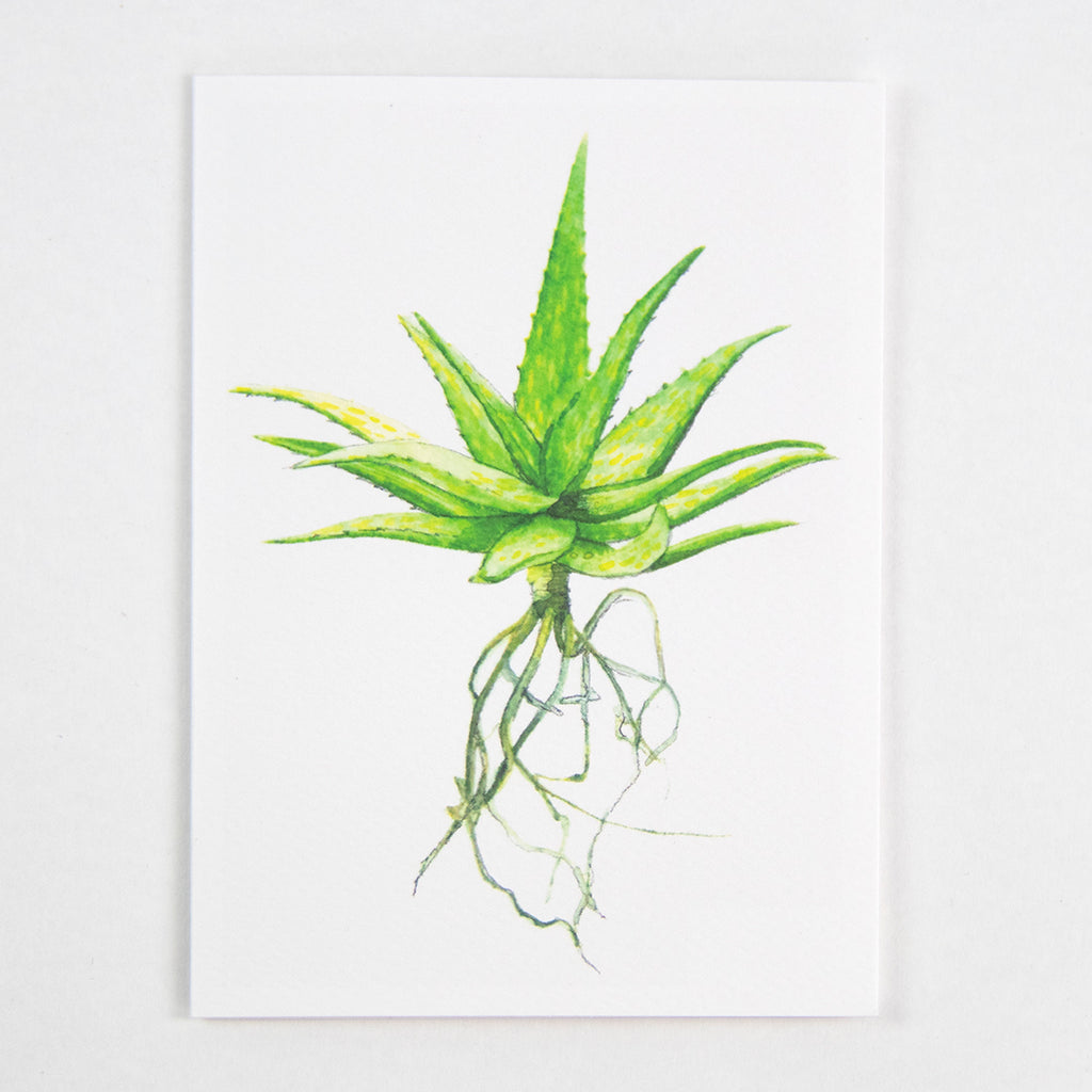 Tækifæriskort (4 gerðir) / Greeting Cards (4 designs)
