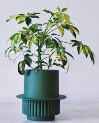Roma Blómapottur / Roma Planter