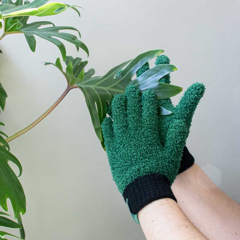 Hreinsihanski fyrir plöntur / Leaf Love Glove